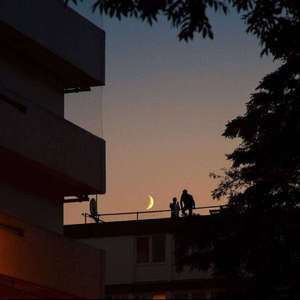 外国人与狗做爱A片
